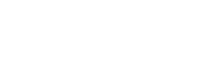 lai__logo copy